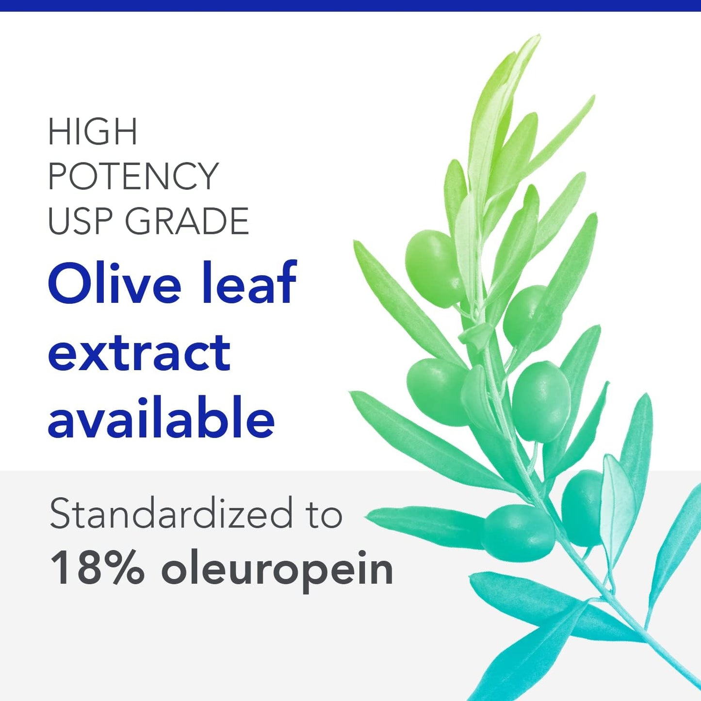 Biocidin Olivirex Olive Leaf Extract Capsules for Microbial & Immune Support (60 Cap)